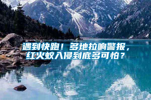 遇到快跑！多地拉響警報(bào)，紅火蟻入侵到底多可怕？