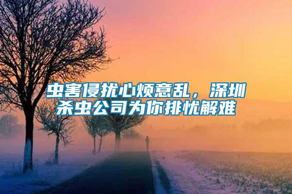 蟲害侵擾心煩意亂，深圳殺蟲公司為你排憂解難