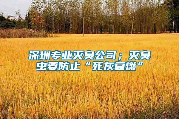 深圳專業滅臭公司；滅臭蟲要防止“死灰復燃”