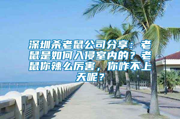 深圳殺老鼠公司分享：老鼠是如何入侵室內(nèi)的？老鼠你辣么厲害，你咋不上天呢？