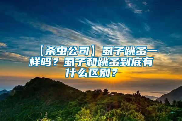 【殺蟲公司】虱子跳蚤一樣嗎？虱子和跳蚤到底有什么區別？