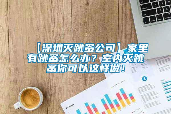 【深圳滅跳蚤公司】家里有跳蚤怎么辦？室內滅跳蚤你可以這樣做！