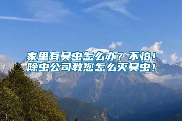家里有臭蟲(chóng)怎么辦？不怕！除蟲(chóng)公司教您怎么滅臭蟲(chóng)！