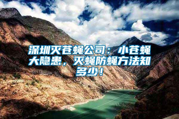 深圳滅蒼蠅公司：小蒼蠅大隱患，滅蠅防蠅方法知多少！