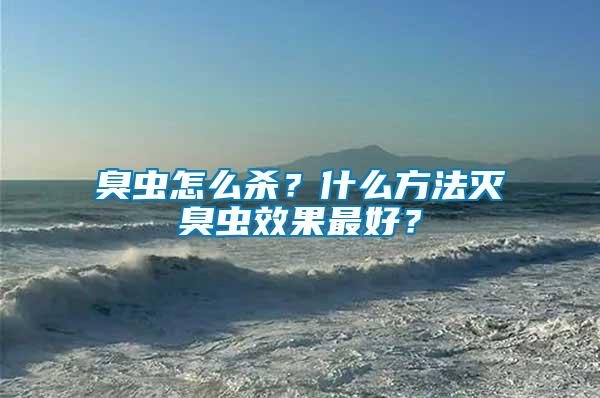 臭蟲怎么殺？什么方法滅臭蟲效果最好？