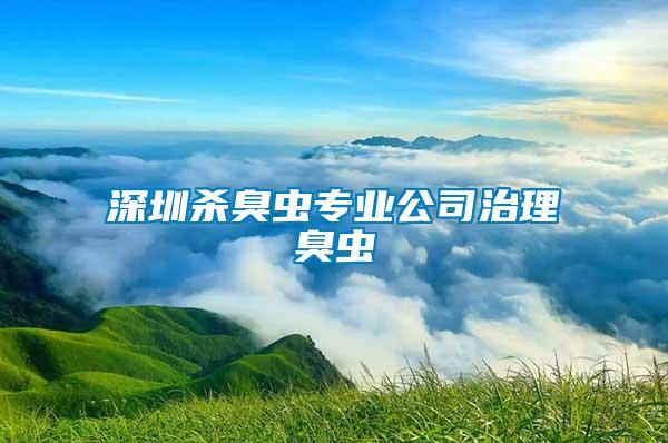 深圳殺臭蟲(chóng)專(zhuān)業(yè)公司治理臭蟲(chóng)