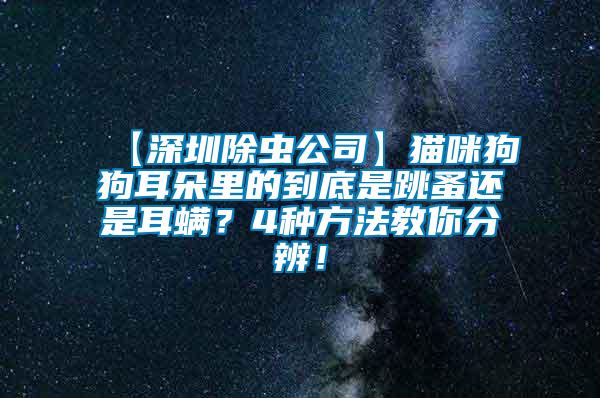 【深圳除蟲公司】貓咪狗狗耳朵里的到底是跳蚤還是耳螨？4種方法教你分辨！