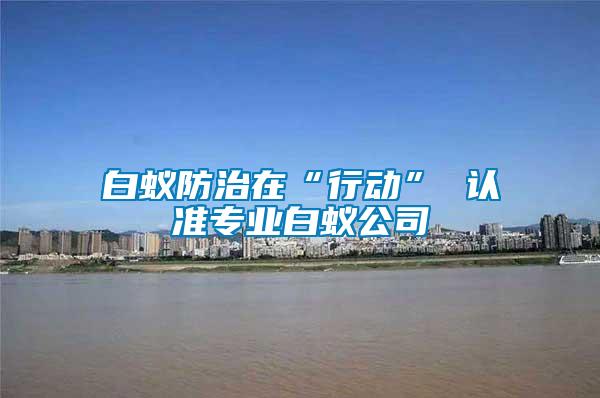 白蟻防治在“行動” 認準專業(yè)白蟻公司
