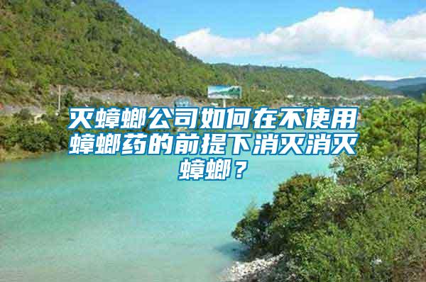 滅蟑螂公司如何在不使用蟑螂藥的前提下消滅消滅蟑螂？
