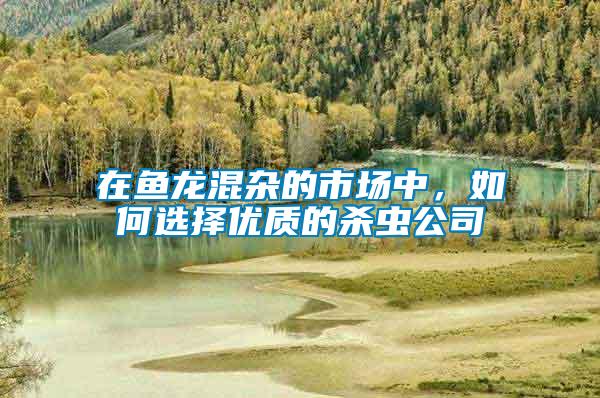 在魚龍混雜的市場中，如何選擇優質的殺蟲公司