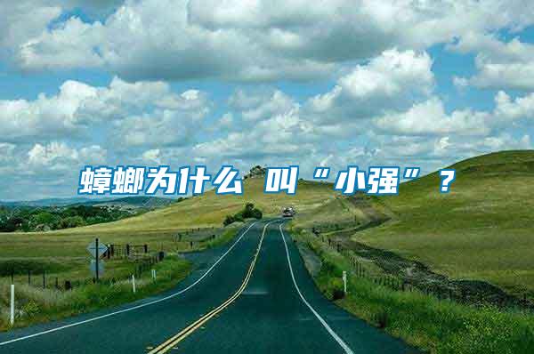蟑螂為什么 叫“小強(qiáng)”？