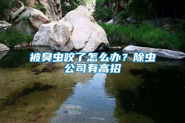 被臭蟲咬了怎么辦？除蟲公司有高招