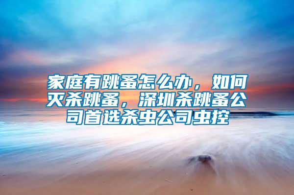 家庭有跳蚤怎么辦，如何滅殺跳蚤，深圳殺跳蚤公司首選殺蟲公司蟲控