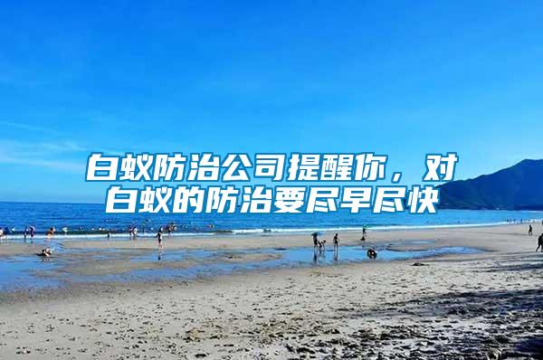 白蟻防治公司提醒你，對白蟻的防治要盡早盡快