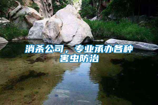 消殺公司，專業(yè)承辦各種害蟲防治
