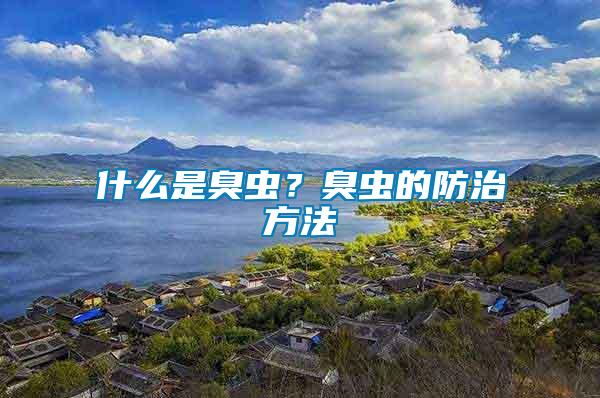 什么是臭蟲？臭蟲的防治方法