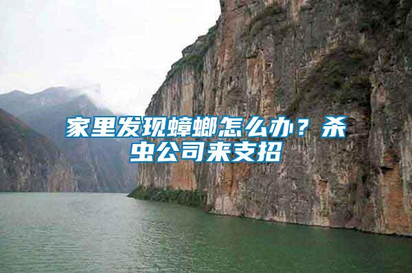 家里發現蟑螂怎么辦？殺蟲公司來支招