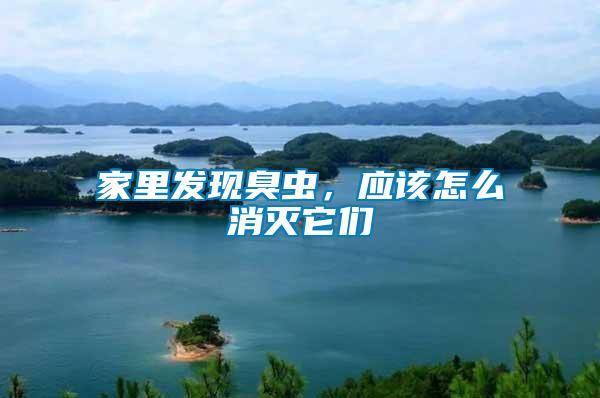 家里發現臭蟲，應該怎么消滅它們