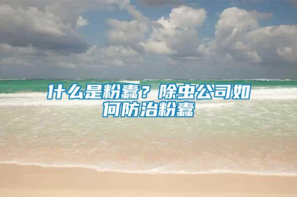 什么是粉蠹？除蟲公司如何防治粉蠹
