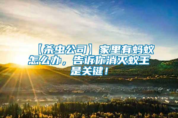 【殺蟲公司】家里有螞蟻怎么辦，告訴你消滅蟻王是關鍵！