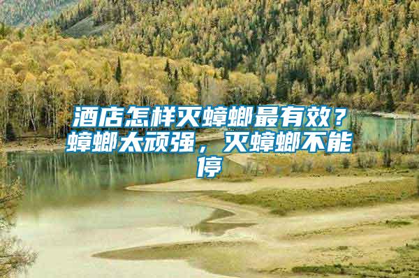 酒店怎樣滅蟑螂最有效？蟑螂太頑強，滅蟑螂不能停