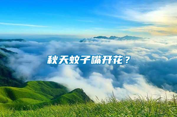 秋天蚊子嘴開花？