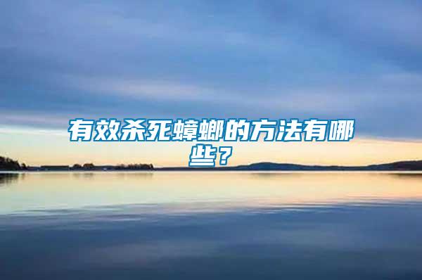 有效殺死蟑螂的方法有哪些？