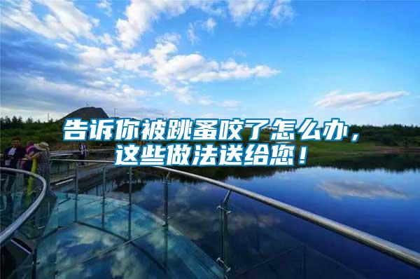 告訴你被跳蚤咬了怎么辦，這些做法送給您！