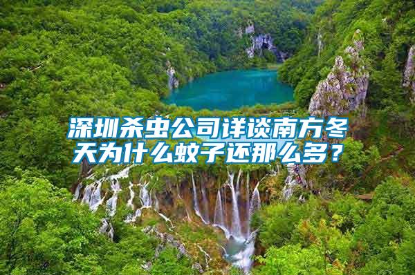 深圳殺蟲公司詳談南方冬天為什么蚊子還那么多？