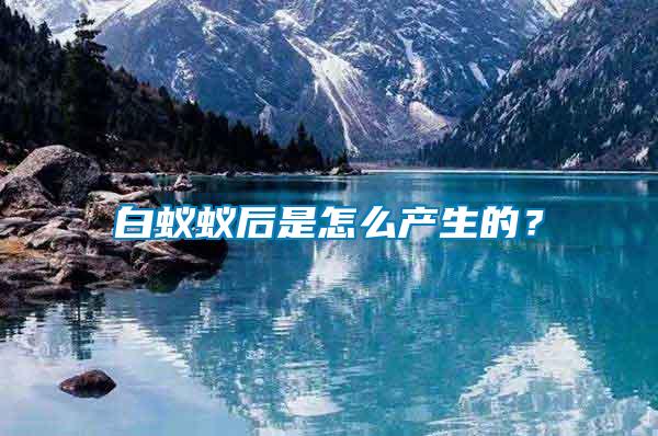 白蟻蟻后是怎么產生的？