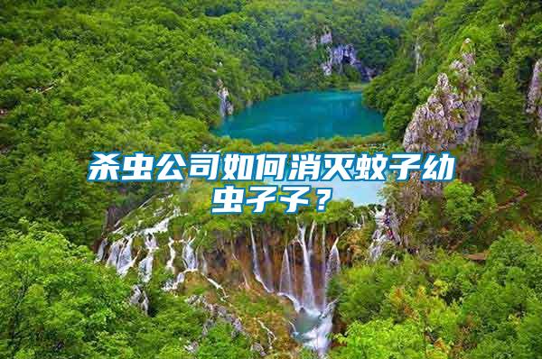 殺蟲(chóng)公司如何消滅蚊子幼蟲(chóng)孑孓？