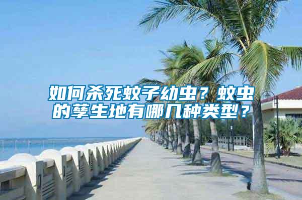 如何殺死蚊子幼蟲？蚊蟲的孳生地有哪幾種類型？