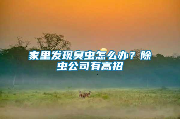 家里發(fā)現(xiàn)臭蟲(chóng)怎么辦？除蟲(chóng)公司有高招