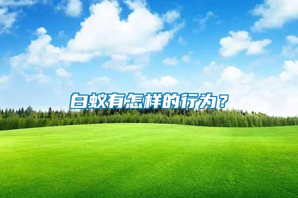 白蟻有怎樣的行為？