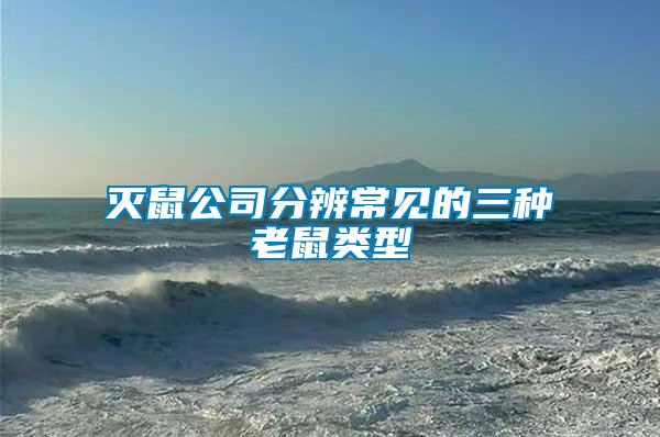 滅鼠公司分辨常見(jiàn)的三種老鼠類(lèi)型