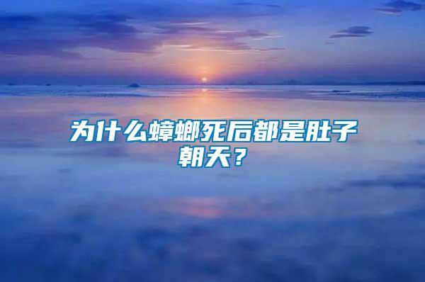 為什么蟑螂死后都是肚子朝天？