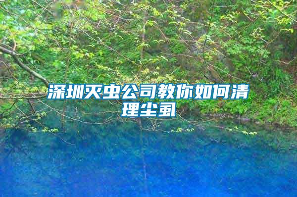 深圳滅蟲(chóng)公司教你如何清理塵虱