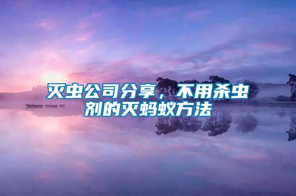 滅蟲公司分享，不用殺蟲劑的滅螞蟻方法