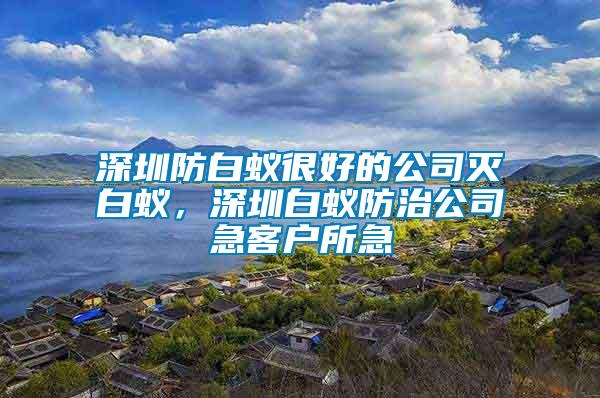 深圳防白蟻很好的公司滅白蟻，深圳白蟻防治公司急客戶所急