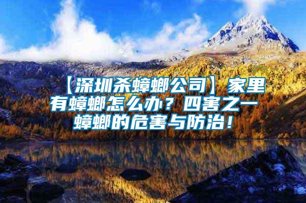 【深圳殺蟑螂公司】家里有蟑螂怎么辦？四害之一蟑螂的危害與防治！