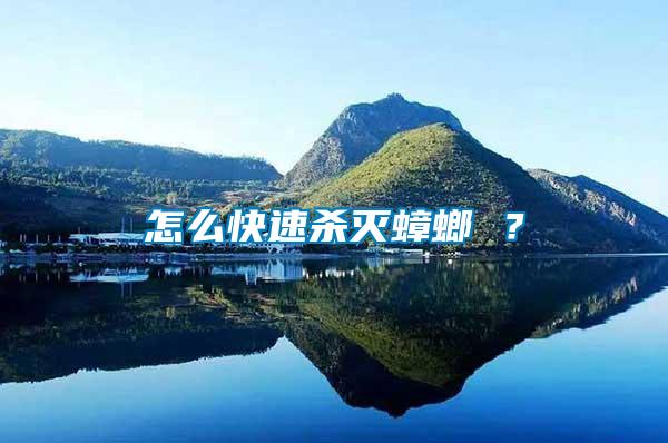 怎么快速殺滅蟑螂 ？