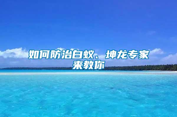 如何防治白蟻、坤龍專家來(lái)教你