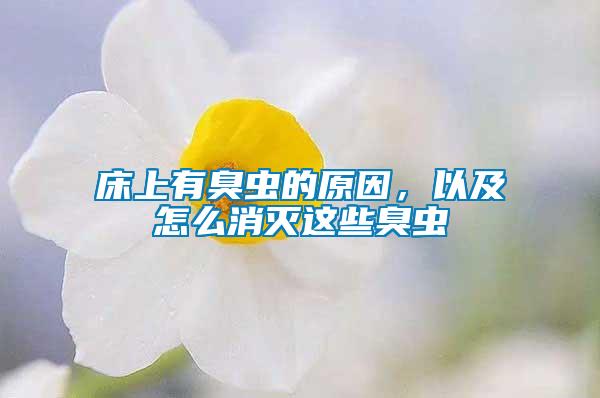 床上有臭蟲的原因，以及怎么消滅這些臭蟲