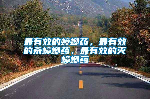 最有效的蟑螂藥，最有效的殺蟑螂藥，最有效的滅蟑螂藥