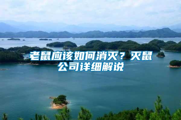 老鼠應(yīng)該如何消滅？滅鼠公司詳細(xì)解說
