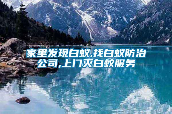 家里發(fā)現白蟻,找白蟻防治公司,上門滅白蟻服務