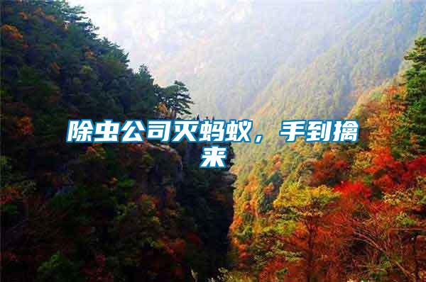 除蟲公司滅螞蟻，手到擒來(lái)
