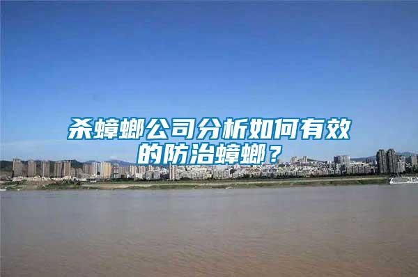 殺蟑螂公司分析如何有效的防治蟑螂？