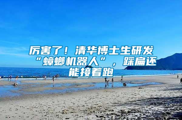 厲害了！清華博士生研發“蟑螂機器人”，踩扁還能接著跑