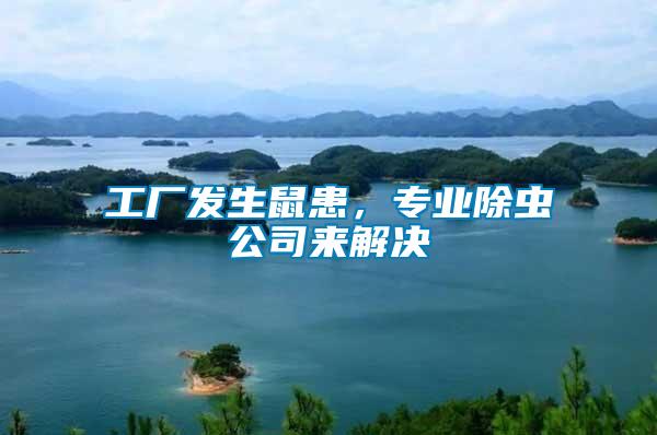 工廠發生鼠患，專業除蟲公司來解決